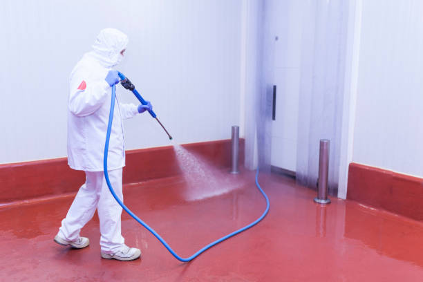 Best Pool Deck Cleaning  in Elim, PA